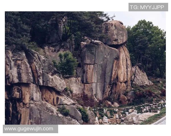 探索阿拉巴的历史与文化魅力，揭示其独特的自然风光与人文景观
